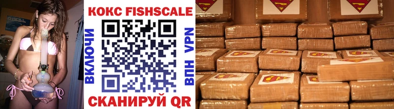 hydra как зайти  Онега  shop какой сайт  Cocaine Fish Scale 